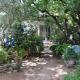 jolie location, maison avec piscine et joli jardin fleuri, à oppède dans le luberon en provence – 6 personnes, Oppède (Foto 10)