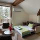 Cozy Mountain Apartment, Borowec (zdjęcie 4)
