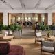 Hotel Marcel New Haven, Tapestry Collection By Hilton, New Haven (fotografie 9)