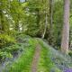 Cragside, Callander (photo 9)