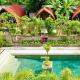 Jungle Paradise, Nusa Penida