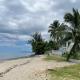 Ananahi plage Paea - Foto 3