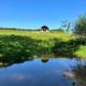 Paradise Valley Hideaways, Holt