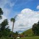 Sitio Reis Membeca, Paraíba do Sul - Fotografie 9
