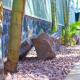Ivy Homes - Mukono, Mukono (photo 5)