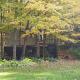 Black Pine Tree House, Acton (Foto 5)
