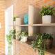 Italstay - Canonica Brick Apartment, Milán - Fotografie 6