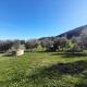 Casal dei Colli, Amelia (foto 3)