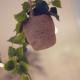 Pittoreskes Apartment 1-BR, Vienne - Photo 4