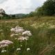 Snowdonia Shepherds' Huts, Conwy (fotografie 7)