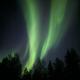 Aurora Hut Salla, Tikkala (foto 7)