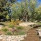 Sea front house in Kassiopi, Kassiopi (photo 7)