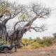 Hutwini Camp - Pafuri Walking Safaris, Makuleke Contract Park (фото 6)