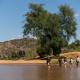Hutwini Camp - Pafuri Walking Safaris, Makuleke Contract Park (фото 9)