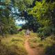 Hutwini Camp - Pafuri Walking Safaris, Makuleke Contract Park (фото 10)