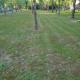 Camping Valle de Hecho, Hecho (fotografie 5)