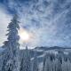 Jahorina: A Charming Apartment Retreat, Jahorina - Foto 10