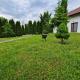 Pensiunea Bradu, Haleş - 写真 1