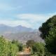 JNANE ZOHRA, Taroudant (photo 8)