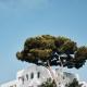 Prinsotel Alba & Spa, Cala d´Or (foto 8)