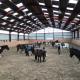 Reit- und Ferienhof Maack, ノイハルリンガージール - 写真 3