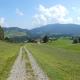 Allgäustüble, Oberstaufen - Foto 3