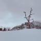 mansardacourmayeur, Courmayeur (fotografie 4)