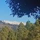 Idyllic Haven Heritage, Jageshwar, Jageshwar - Fotografie 8