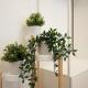 71m² modern apartment in the heart of the city, Wien - Foto 9