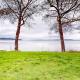 Bay Breeze Bliss, Vashon (fotografie 2)