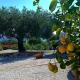 Moonlight Bubble Room, Lentiscosa (fotografie 8)