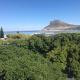 Chapman`s Peak, Loft mit Sea-und Mountainview Hout Bay - Fotografie 3