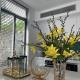 Big Star Villas, Cam Ranh (foto 9)