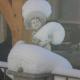 Appartements Agnes, Fulpmes (foto 4)