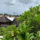 Cuan House Ubud, Ubud - Fotografie 3