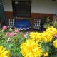 Abendstille am Obstgarten mit Terrasse, Zapfendorf - Foto 3