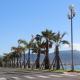 Nestor&Jeeves - PALMA BEACH - Proche Mer, Nice - Fotografie 3