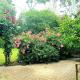 Spacious 3+2BR* house secluded in leafy gardens Glen Waverley - Foto 8