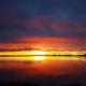 The Sturt Stay, Mulwala (fotografie 9)