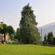 B&B I Baloss, Berbenno (Foto 4)