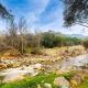 Momma's Paradise, Three Rivers (foto 4)