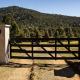 Villa Vida. Sua cabana entre Urubici e São Joaquim - Serra Catarinense, São Joaquim - Foto 3