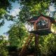 Boomkamp treehouses, Oostkamp - Fotografie 1
