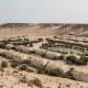 Les Dunes de Dakhla, Dachla (fotografie 3)
