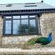 Peacock cottage, Ewenny