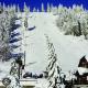 Chalet FiMiLi, Vyšná Boca (fotografie 8)