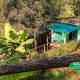 Wanale Falls Lodge, Mbale (photo 2)