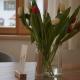 Ferienwohnung Ott, Halblech - Foto 6