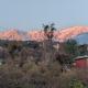 Happy home stay, Dharamshala, Дармсала - Фото 8