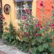 Bungalow Schinderling GM 69816, Klockenhagen - 写真 5